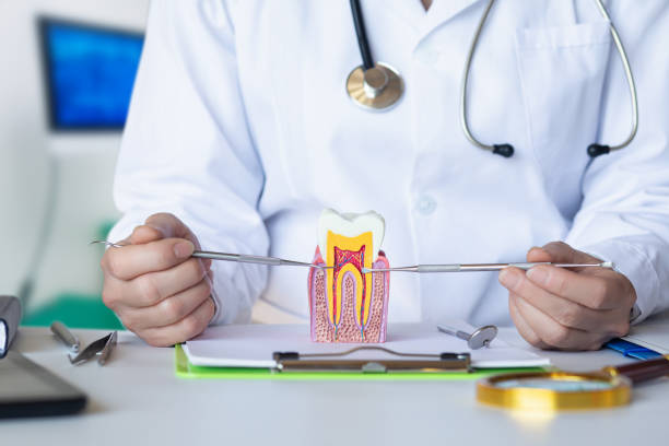 Best Root Canal Emergency Dentist  in Sisters, OR